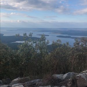 Meet your Posher, Payton